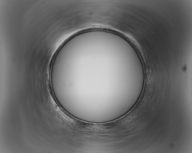 X0000116291287200912141303