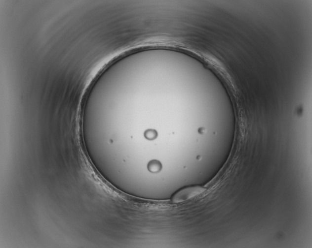 X0000116291288200912141303