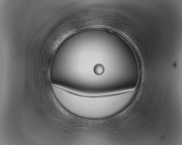 X0000116291289200912141303