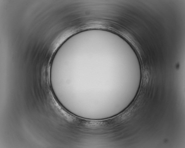 X0000116291290200912141303