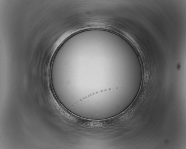 X0000116291291200912141303