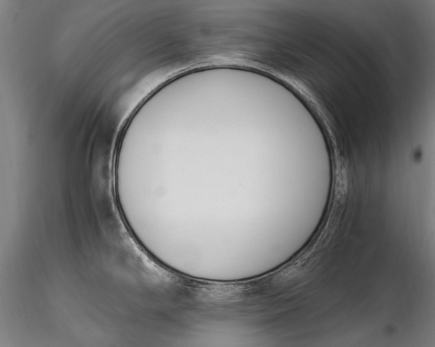 X0000116291294200912141302