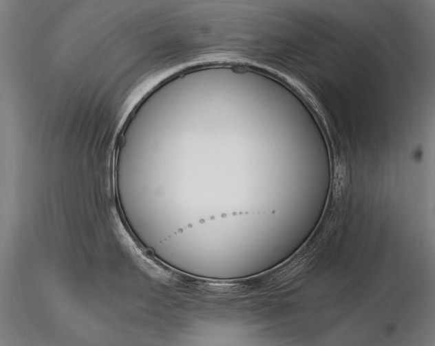 X0000116291295200912141302