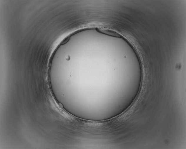 X0000116291296200912141302