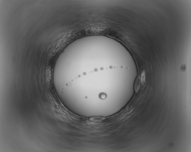 X0000116291299200912141302