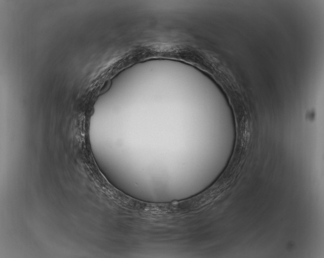 X0000116291301200912141302