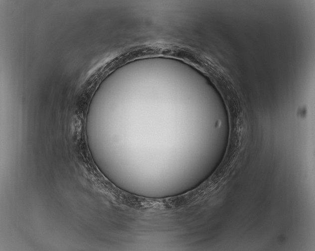 X0000116291302200912141302