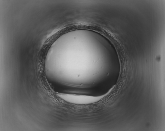 X0000116291303200912141302