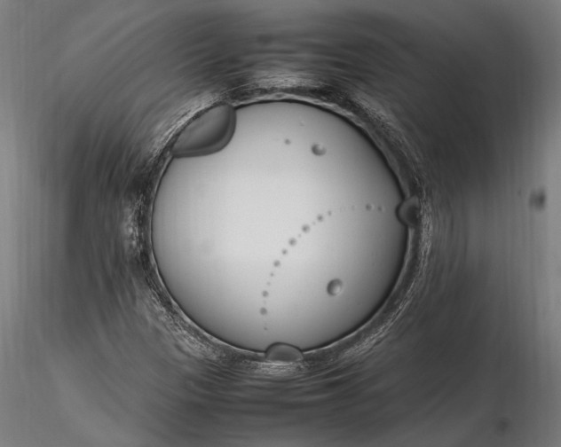 X0000116291305200912141302