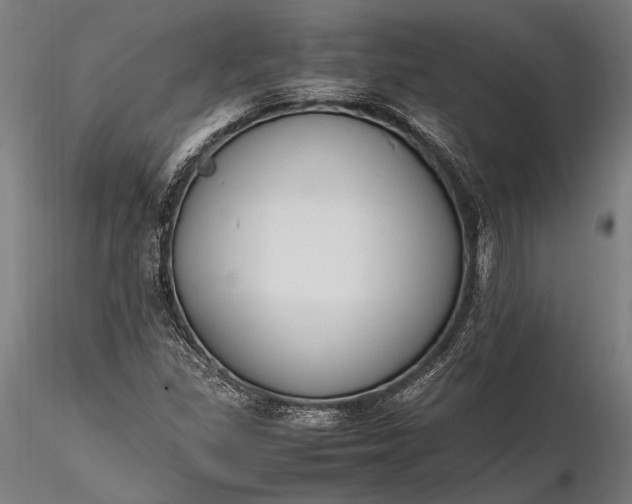 X0000116291309200912141302