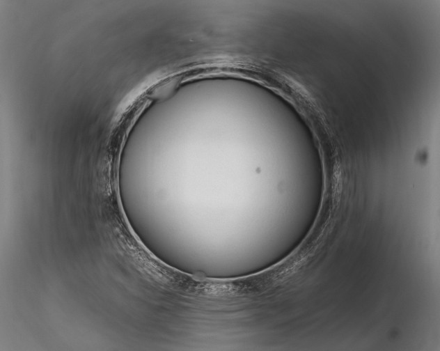 X0000116291310200912141302