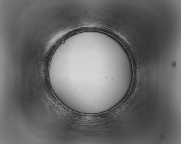 X0000116291311200912141302