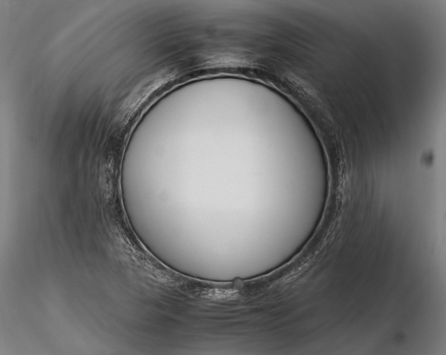 X0000116291313200912141302