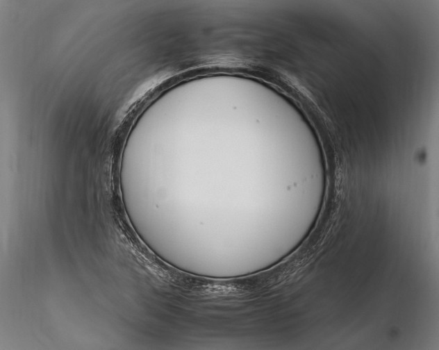 X0000116291315200912141302