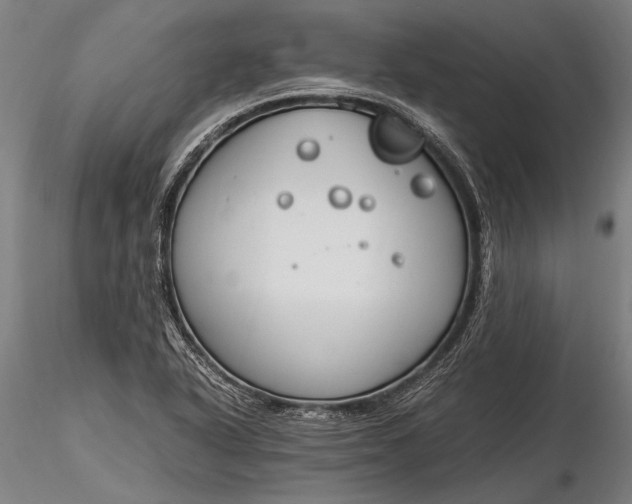 X0000116291318200912141302