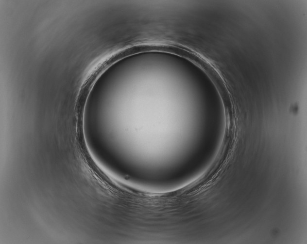 X0000116291319200912141302