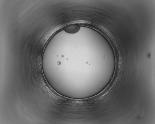 X0000116291321200912141302