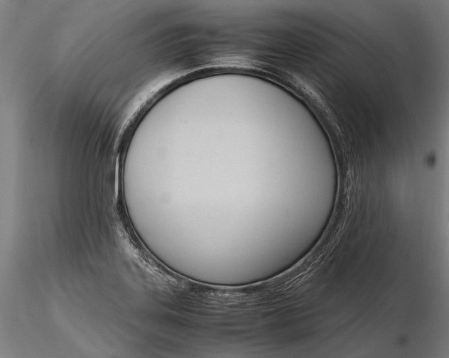 X0000116291323200912141302