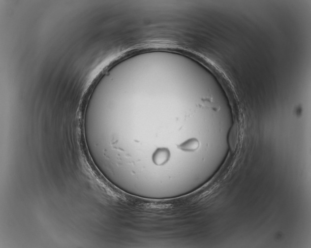 X0000116291325200912141302