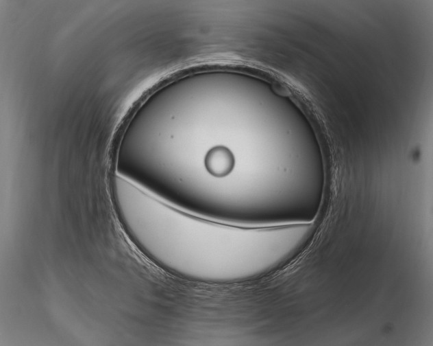 X0000116291326200912141302