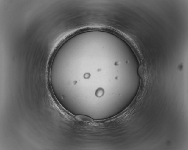 X0000116291327200912141302