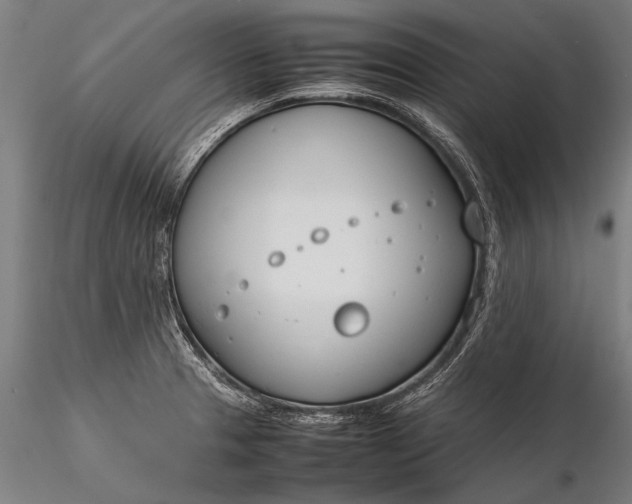 X0000116291329200912141302