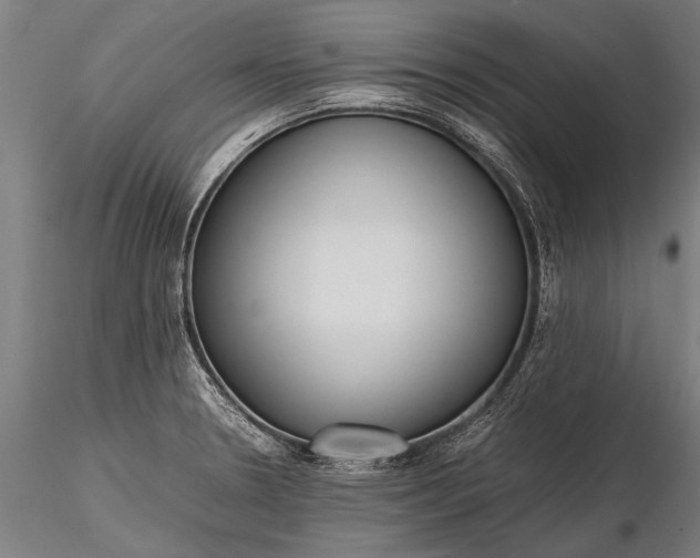 X0000116291330200912141302