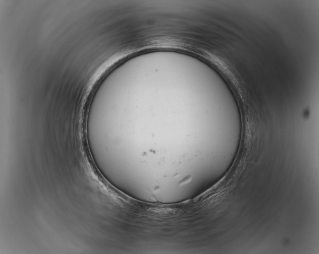 X0000116291331200912141302