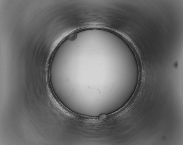 X0000116291333200912141302