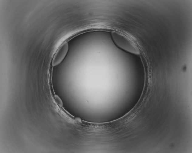 X0000116291334200912141302