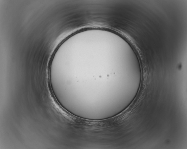 X0000116291335200912141302