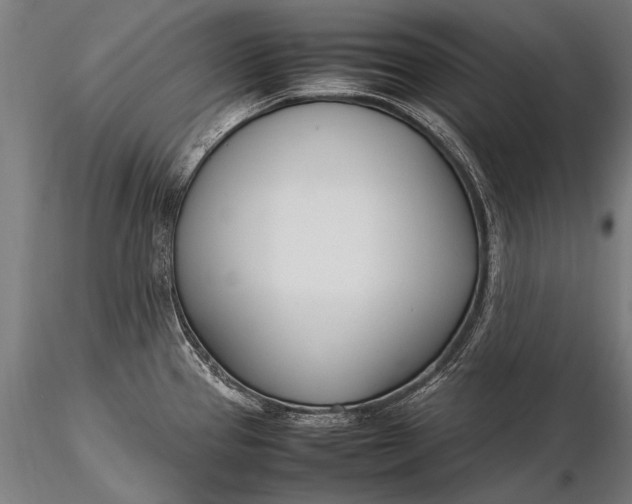 X0000116291337200912141302