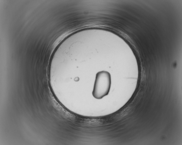 X0000116291338200912141302