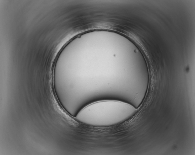 X0000116291339200912141302