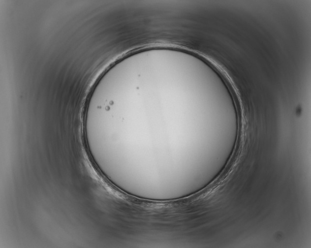 X0000116291341200912141302