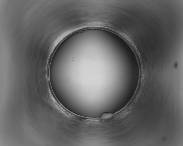 X0000116291342200912141302