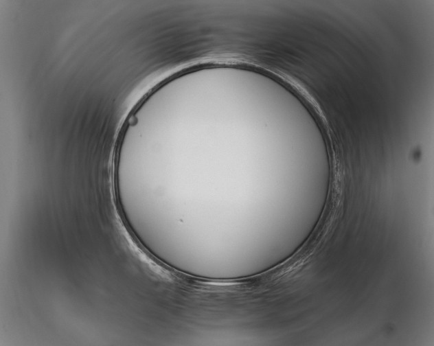 X0000116291343200912141302