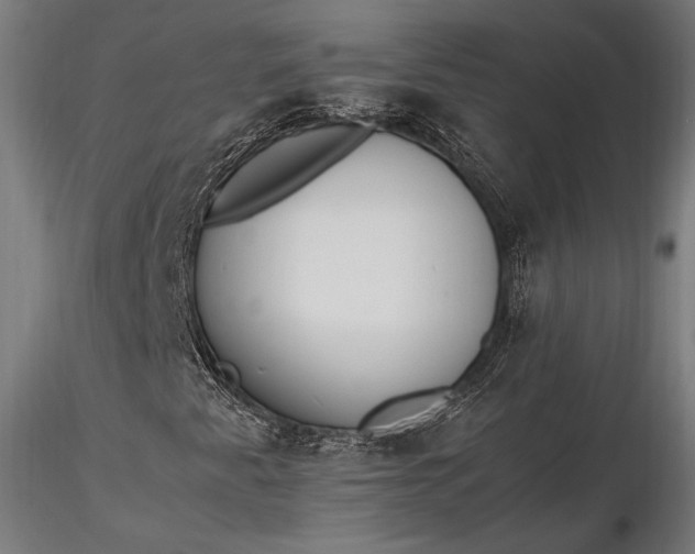 X0000116291345200912141302