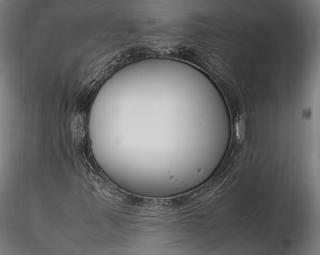 X0000116291347200912141302