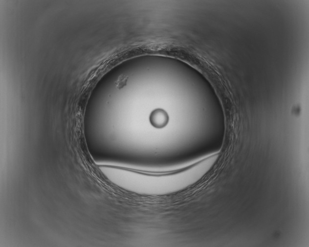 X0000116291349200912141302