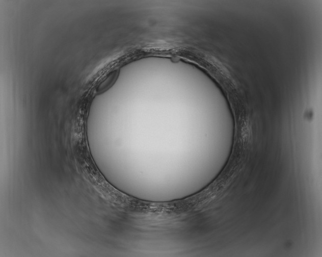 X0000116291350200912141302