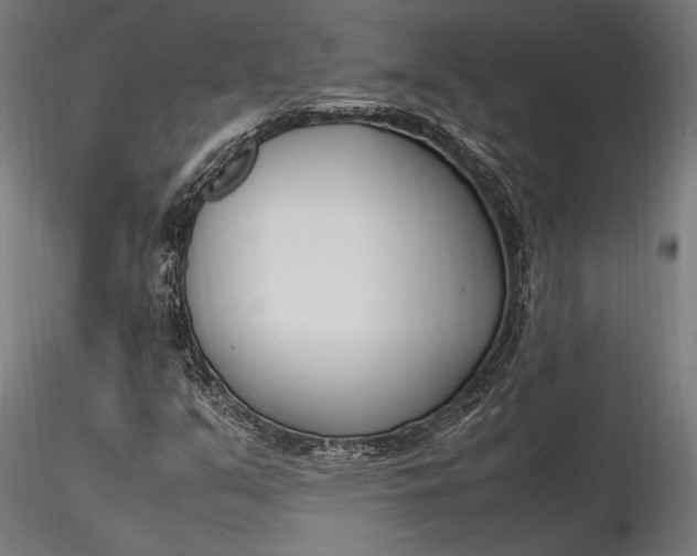 X0000116291351200912141302