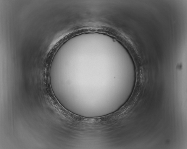 X0000116291352200912141302