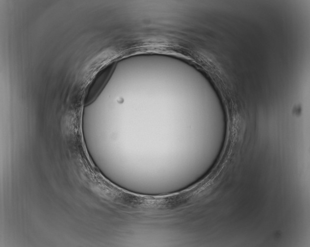 X0000116291353200912141302