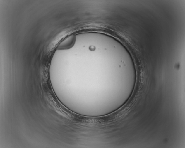 X0000116291355200912141302