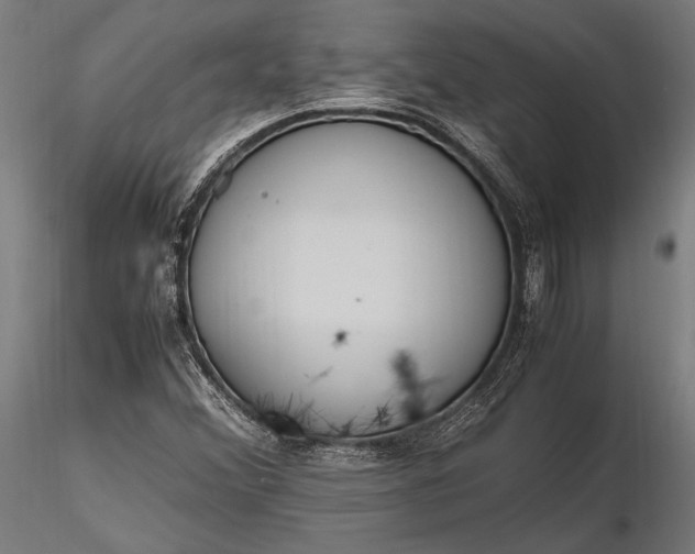 X0000116291356200912141302