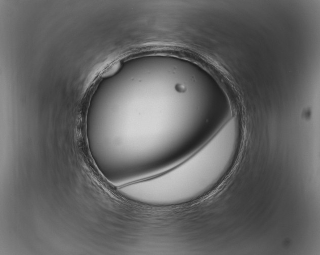 X0000116291357200912141302