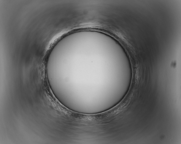 X0000116291358200912141302