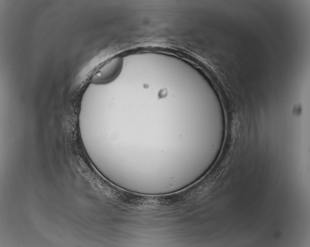 X0000116291359200912141302