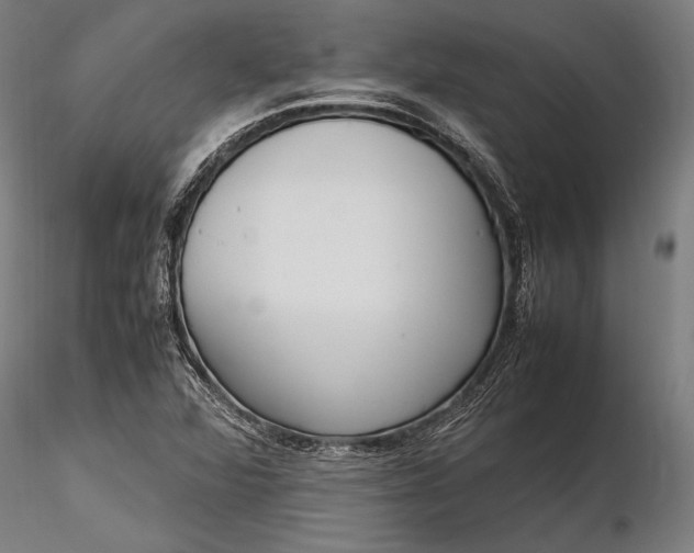 X0000116291360200912141302